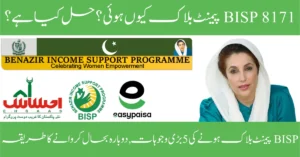 Read more about the article BISP 8171 Payment Blocked Why and How to Fix 2026?: The Complete Troubleshooting Guide